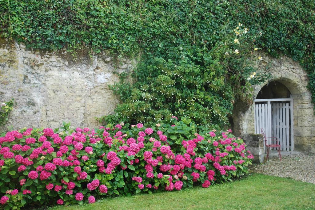 Le Pavillon De La Lanterne Villa Rochecorbon Exteriör bild
